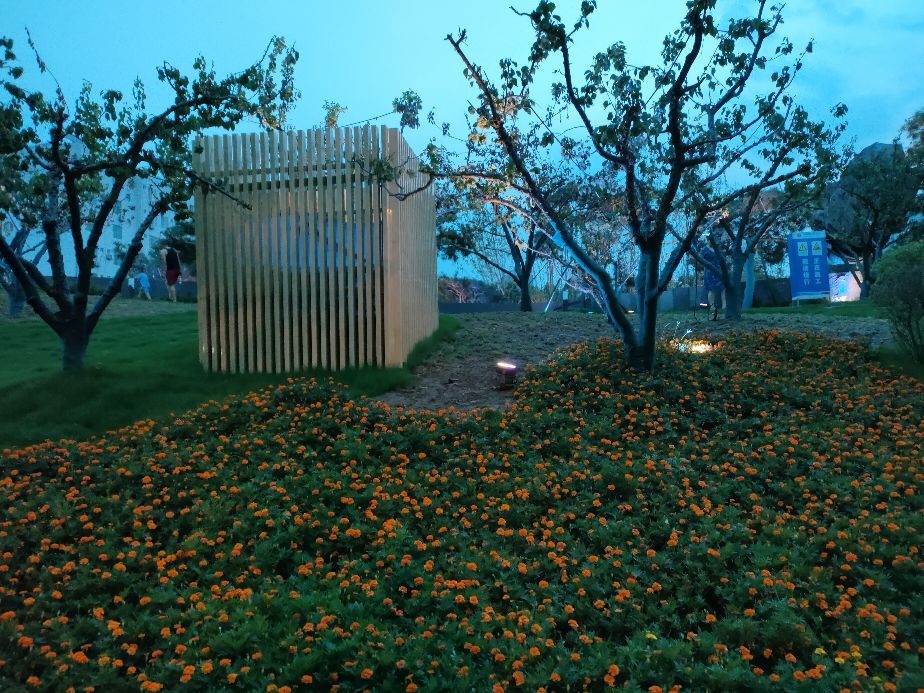 西安最繁华的小寨地区有了一个美丽的袖珍城市公园