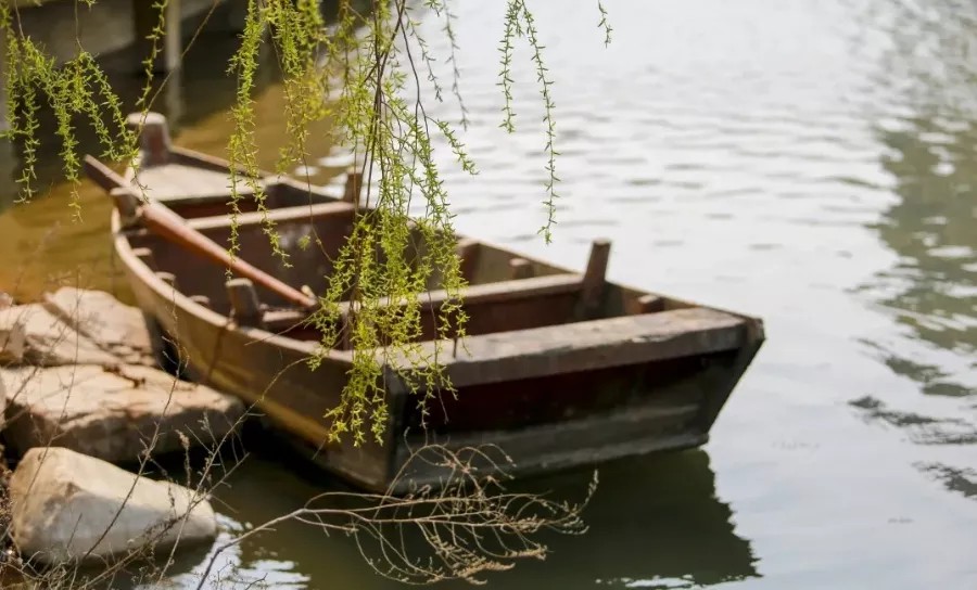 向往的大外 | 打卡大外网红景点