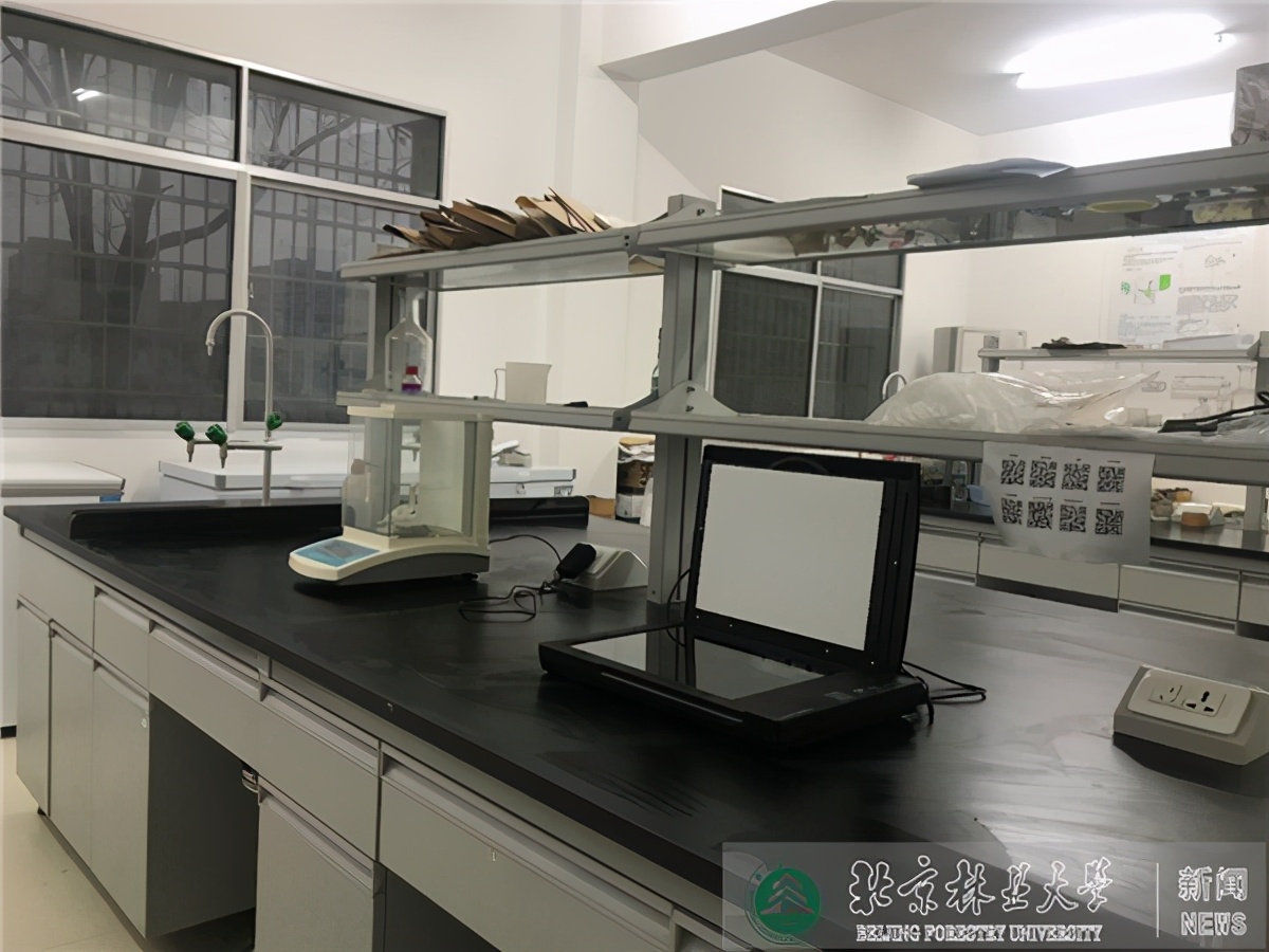 中央部门采纳！北京林业大学新增一座国家级科技创新基地！
