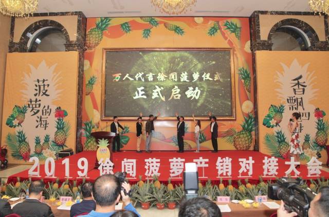 徐闻菠萝产销对接会火热进行！现场签约采购1.84亿斤
