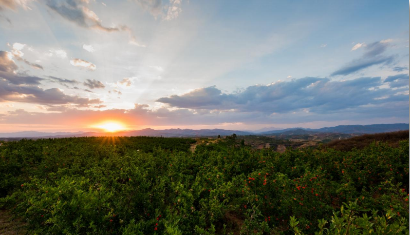 史上最长的傣族家天下统治，造就史上最辉煌的勐泐王宫