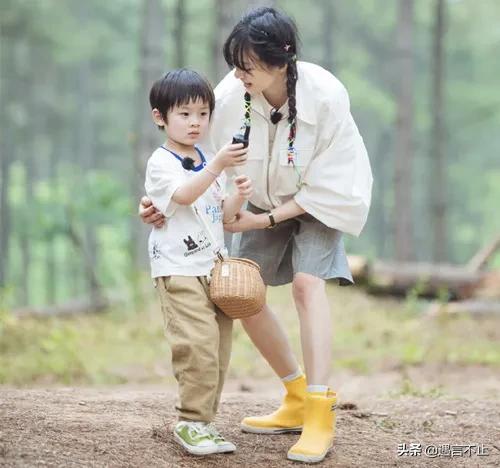 郑爽这种文盲+法盲的疯子，为什么能挣到几个亿的身家？