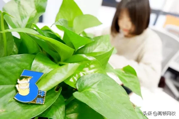 德勤各分所薪酬曝光！9k打底，最高差三倍