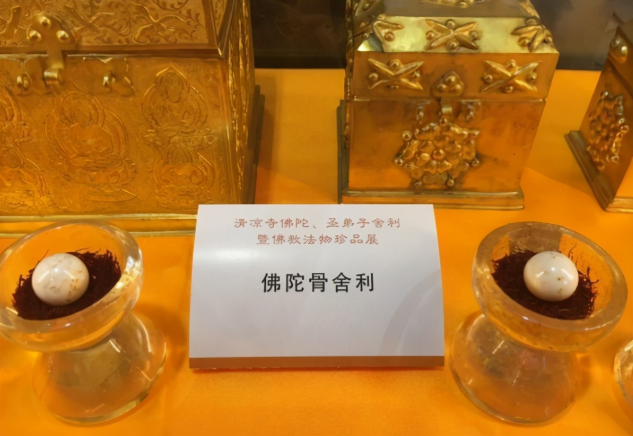 舍利子到底是啥成分,为什么鹦鹉也有舍利子?学者化验后给出答案