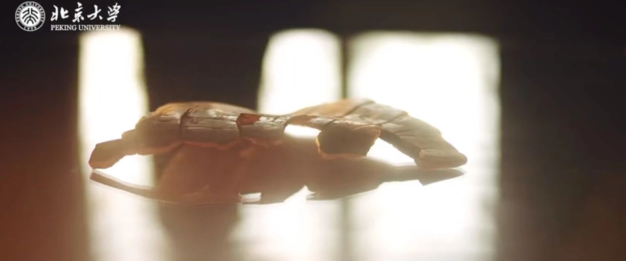 2019年清华北大最新招生宣传片：孩子，读书很苦，但也很美