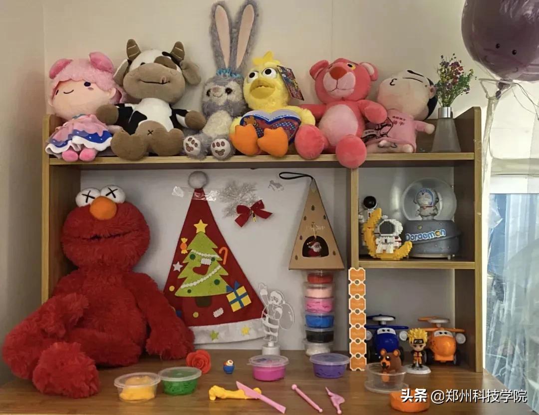 属于郑科人的宿舍小窝