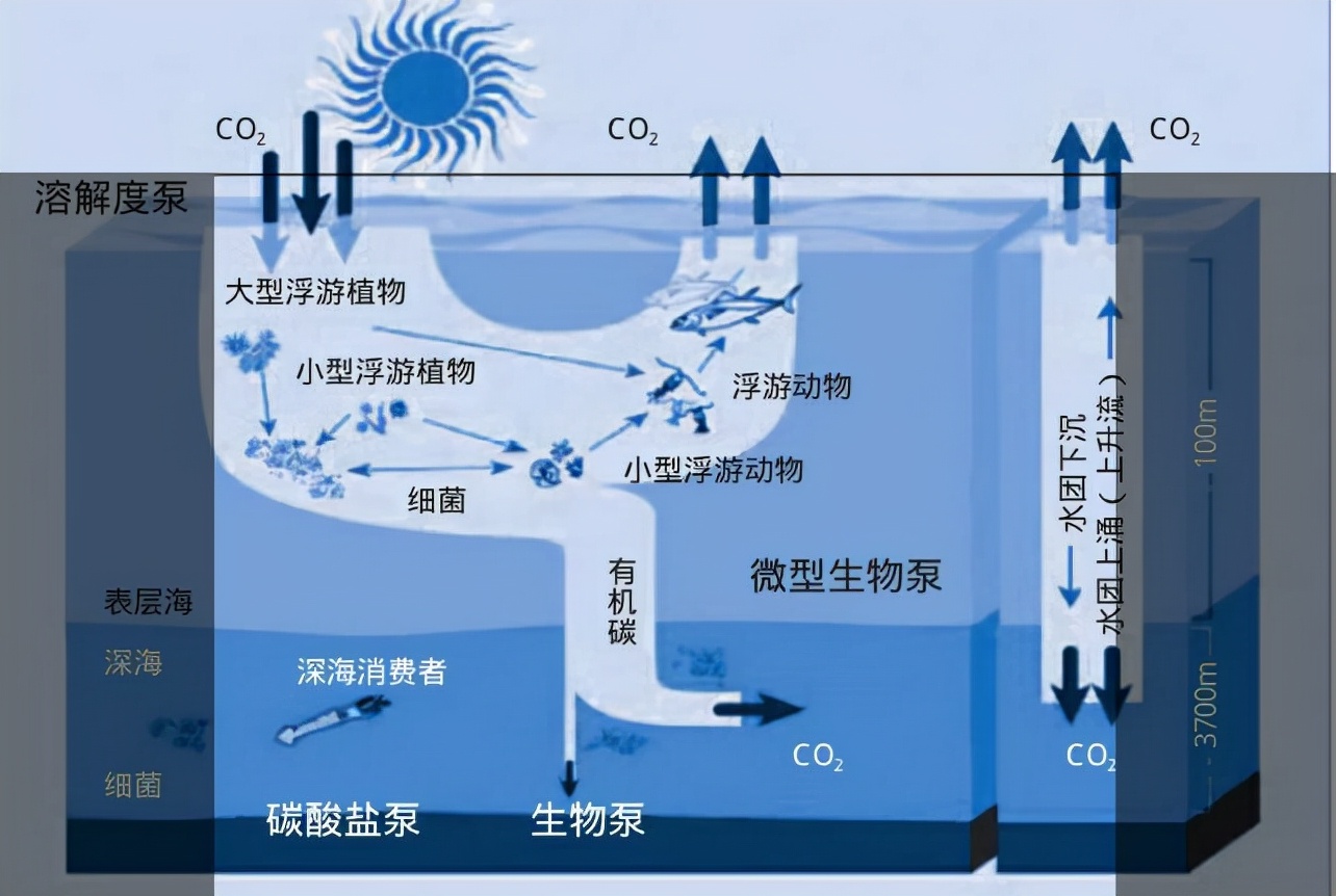 大力发展海洋低碳技术、实现海洋负排放