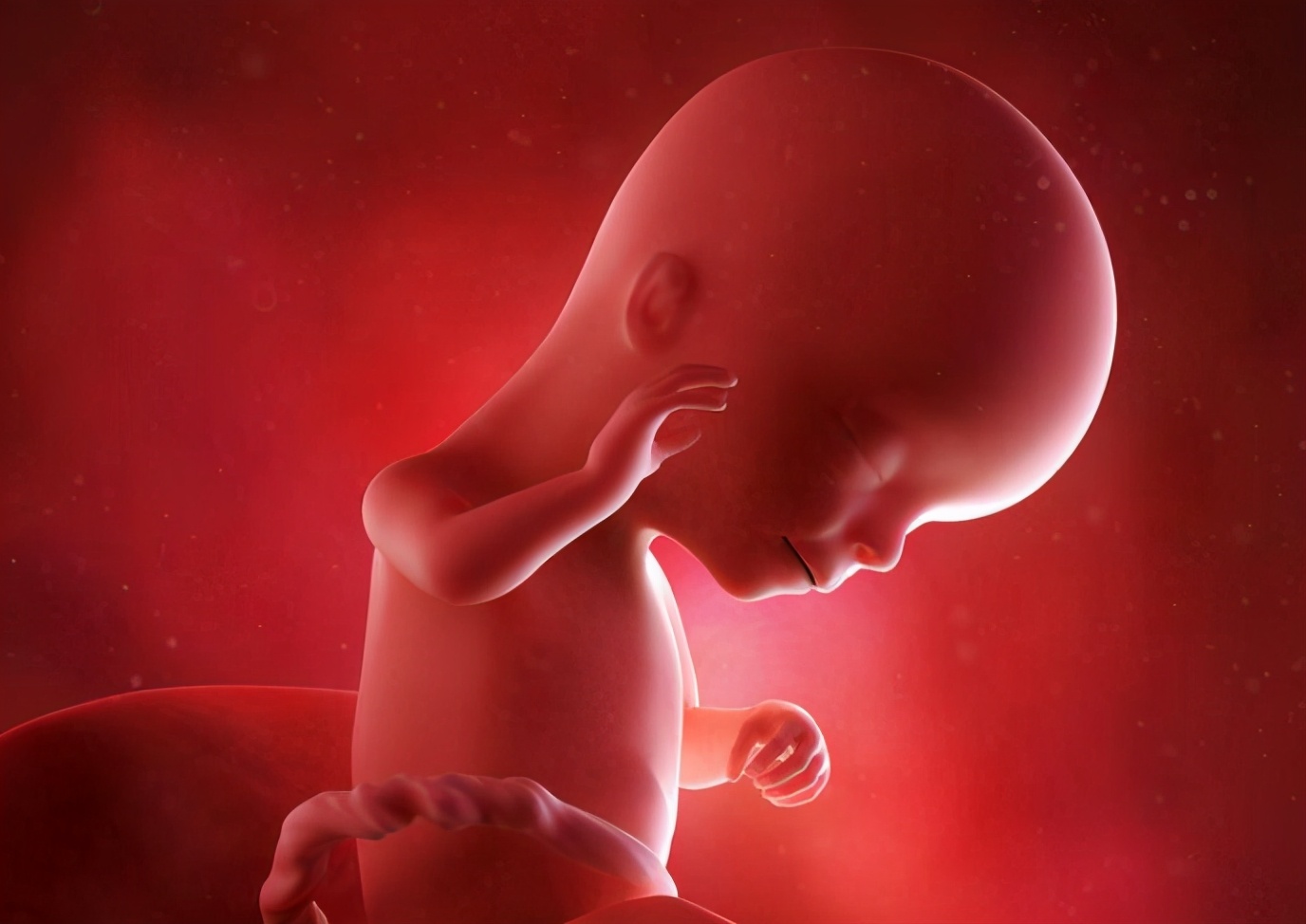 胎儿多大时"有模有样"?小家伙变好看的过程,有趣又神奇