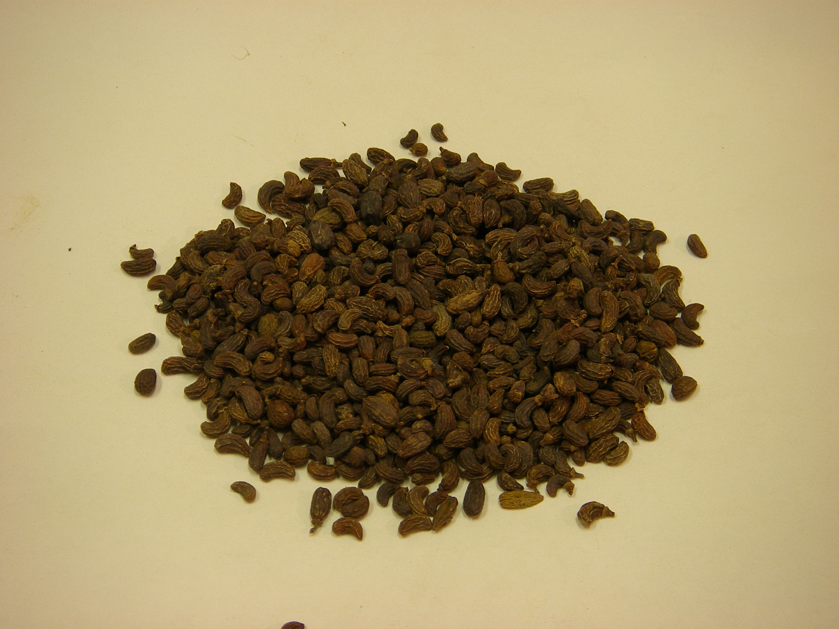 女贞子的功效与作用及禁忌(女贞子) - 行就行