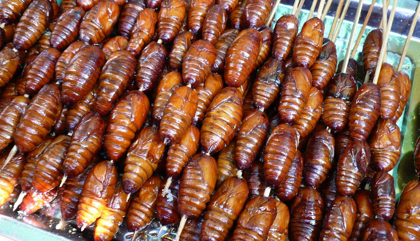 蚕蛹怎么做好吃？蚕蛹5种最好吃的做法，简单美味又馋人-第5张图片
