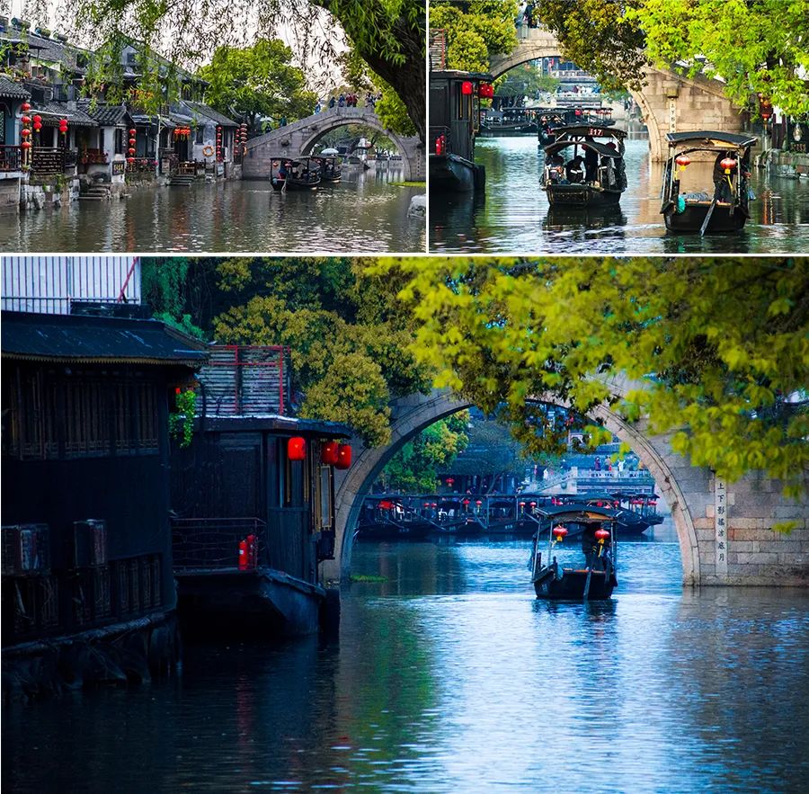 桃树图片手绘(儿童画教程|走进独特的地域领略别样的风情《江南印象》