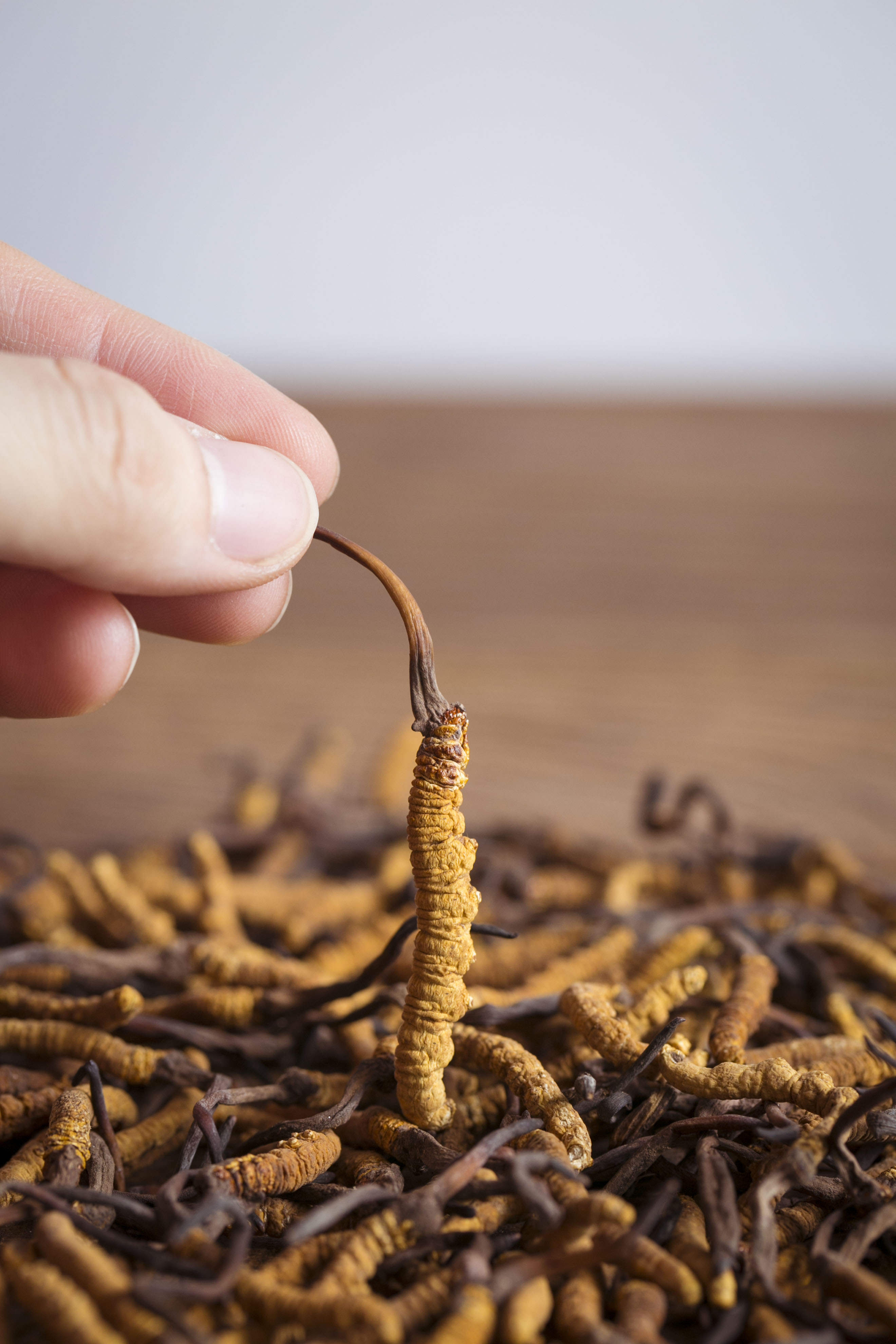 冬虫夏草香烟价格 冬虫夏草细支45一包-千百科