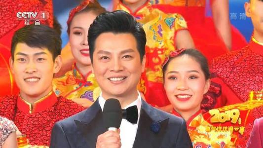 刘雯毕业于哪所学校（骄傲）