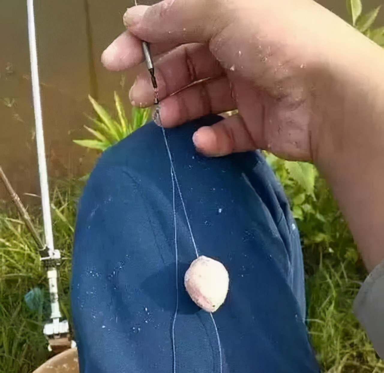 如何手竿钓鲢鳙？手竿钓鲢鳙线组绑法，调漂，饵料以及作钓水深