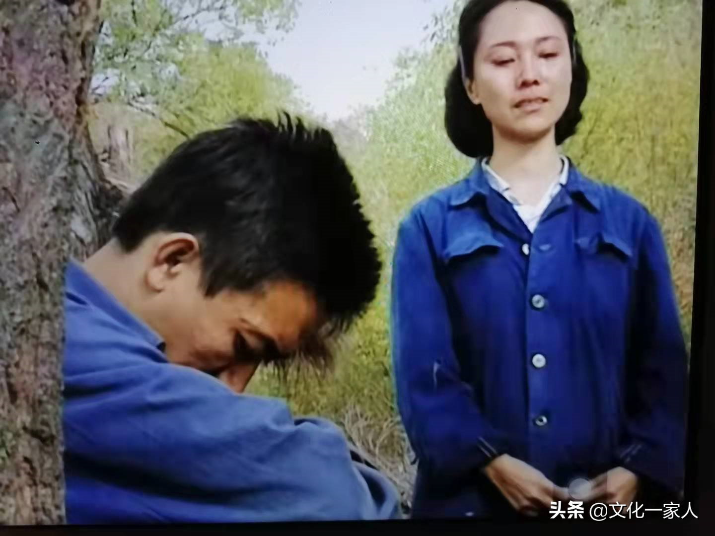 七嫂——世上最美的女人