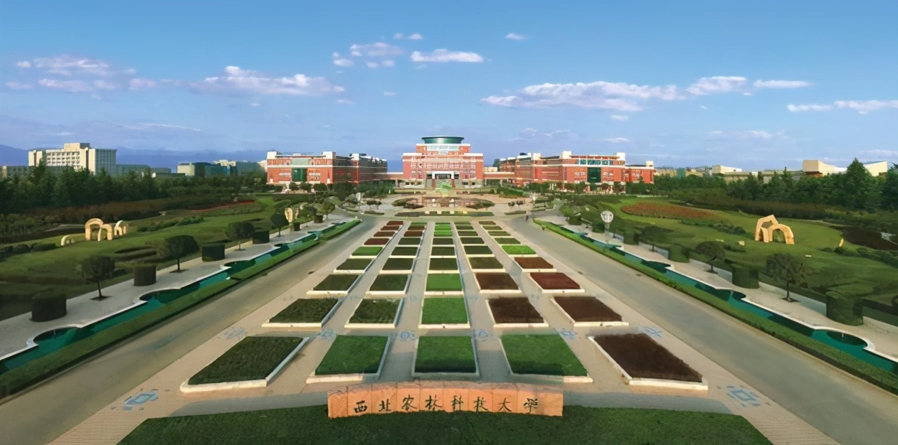 投档线已出！辽宁最低多少分能上985？省内值得报考的大学一览