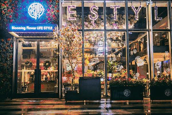 杭州必打卡:植觉、花事未了...4家植物主题店,一家比一家美