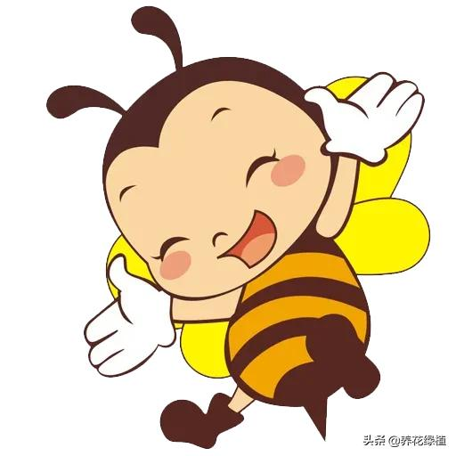 俗话:“家中三大喜,即将有好事”,看看是说哪三种小动物?