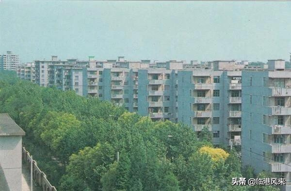 上海科技大学与曾经存在过的上海科学技术大学