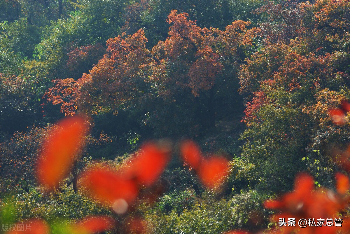 人生的出场顺序很重要，不是你不够好