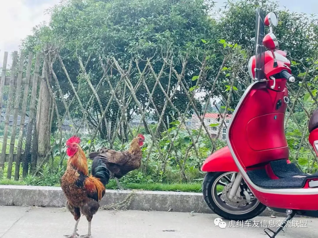福建车茶机车俱乐部之初秋踏板局骑行游记