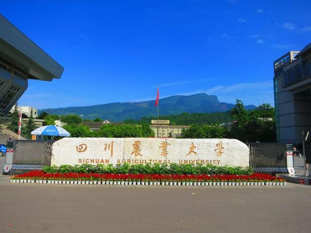 四川高校在渝一本录取信息汇总，电科大超川大，西财超西南交大！