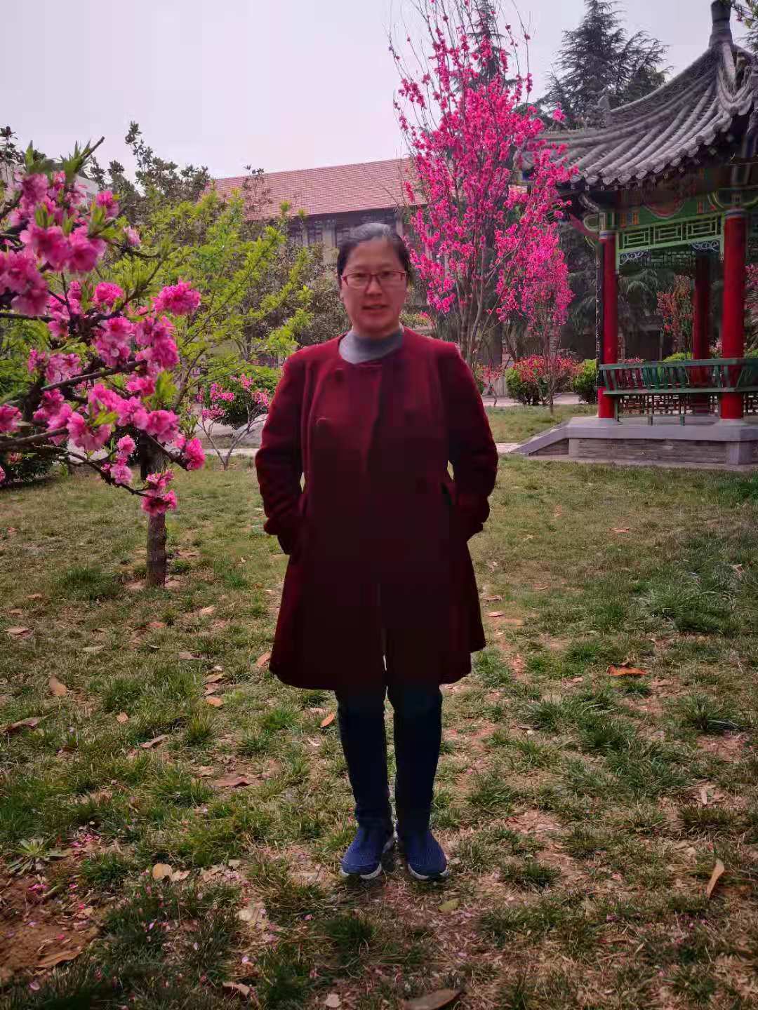 河南高考文科数学难度多大？河南省实验中学名师解析来了