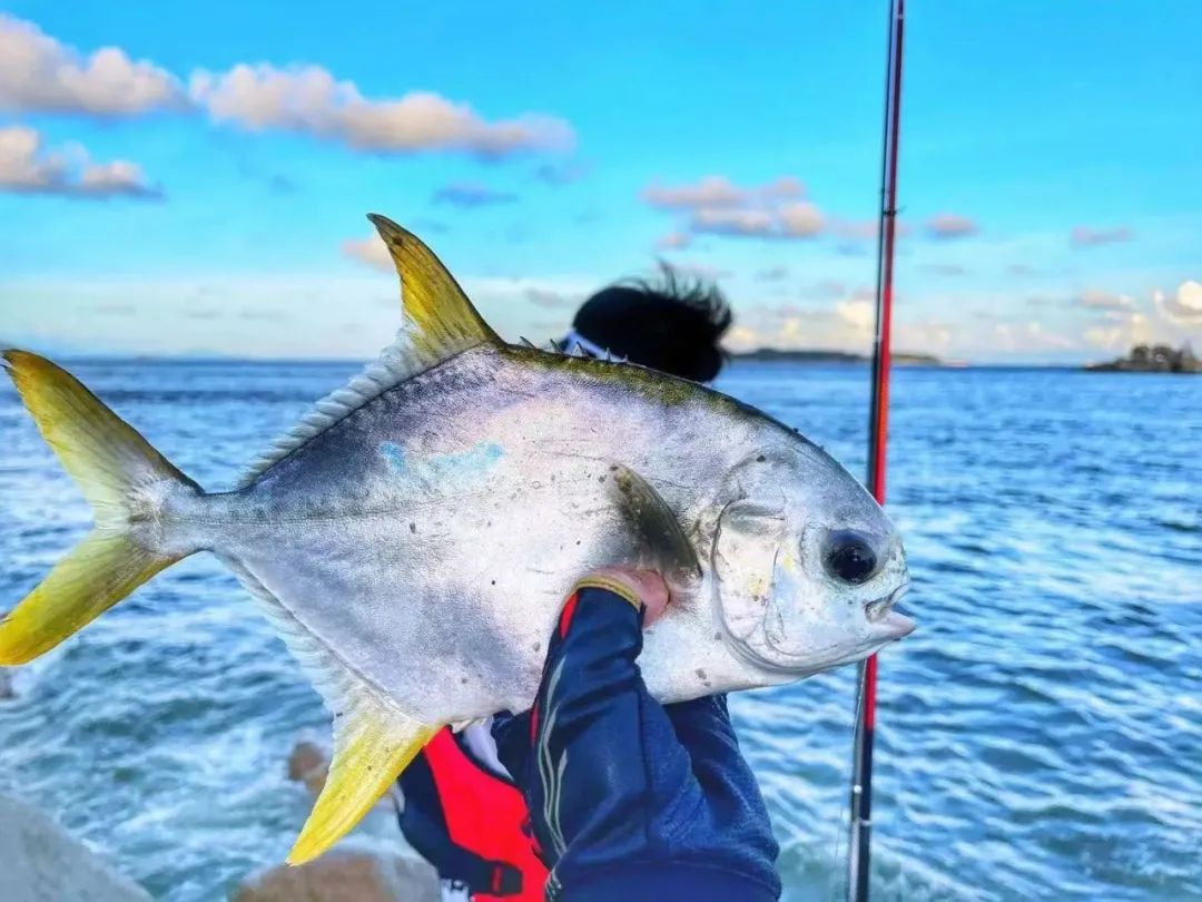 全国高校美食大赏！北大清华复旦不是最让人羡慕的......
