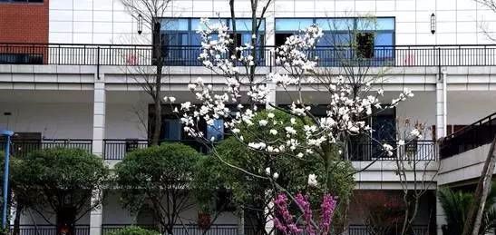 在绵阳，有一种教育叫“富乐”！富乐国际学校已成教育新贵