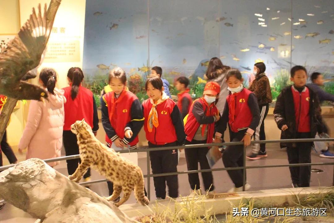 【黄河口生态旅游区】“行走黄河口 亲近母亲河”