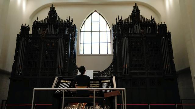 厦门三天三夜游，我只去了这三个地方，但却很满足