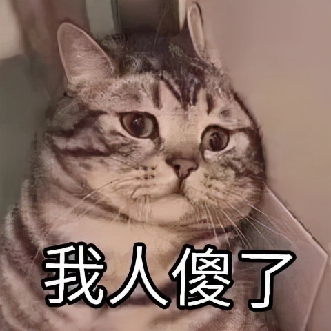 真样减肥运动最快(减肥比较快的运动)