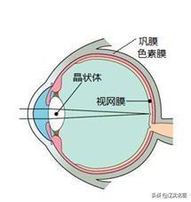 关于白内障的那些事儿