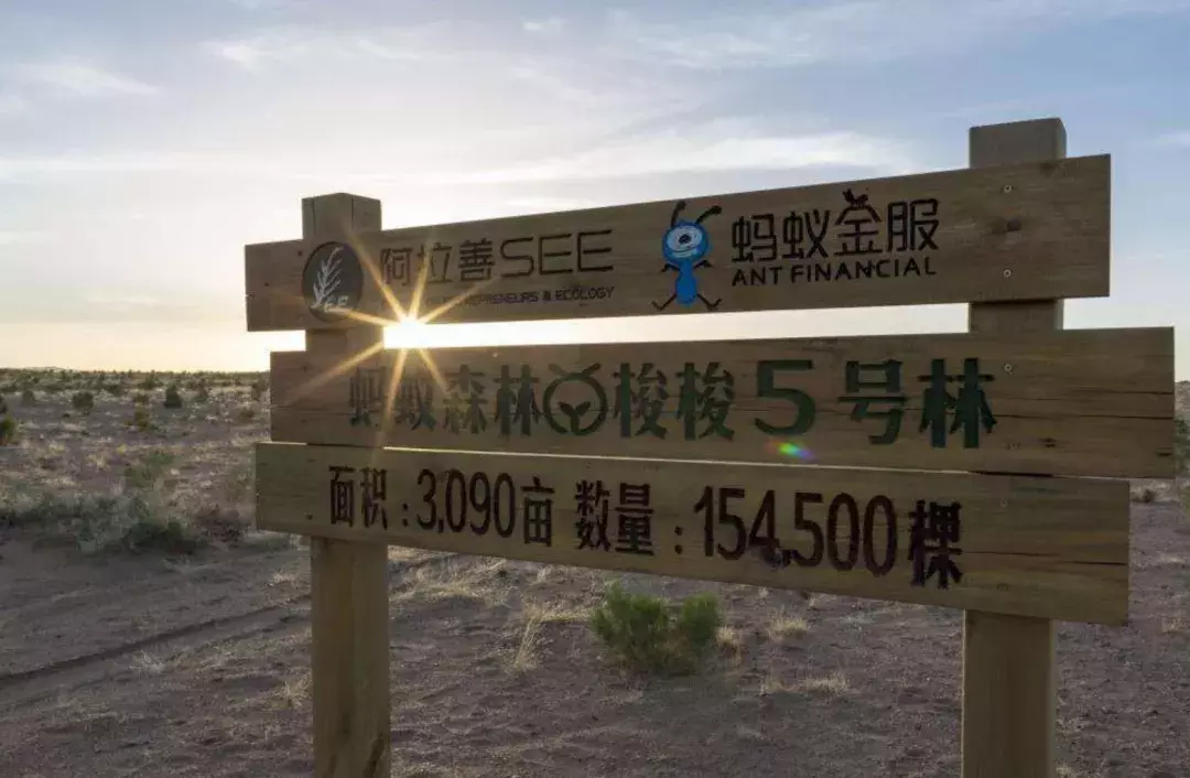 我有一部手机，种树、喂鸡、收能量