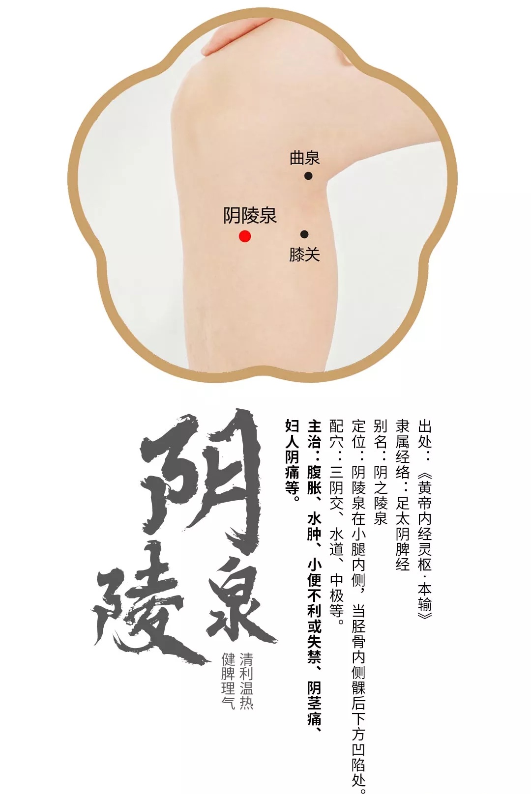 阴陵泉的作用(阴陵泉——清利温热,健脾理气)