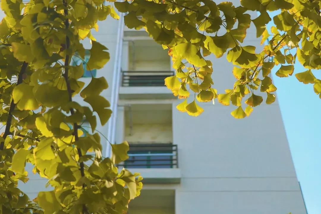 江苏省高校（五十一）南京航空航天大学金城学院