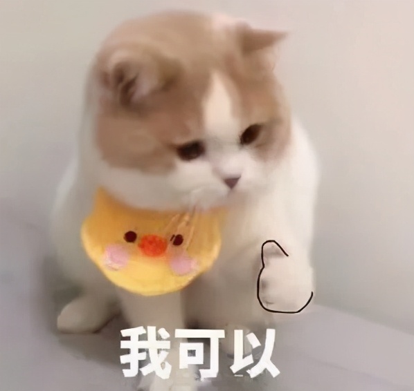 “双一流”不再接收专接本学生，对你究竟有多大影响？