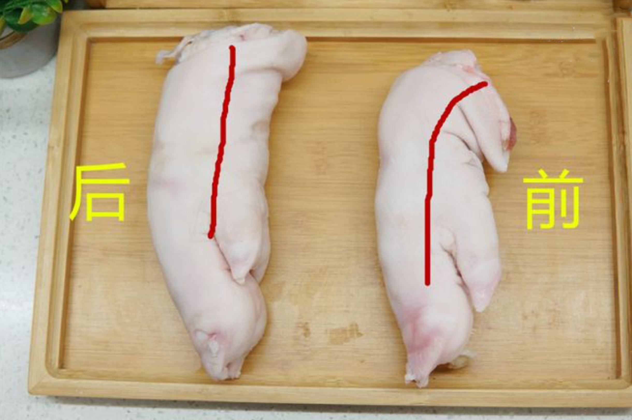 二,看蹄筋猪前蹄和猪后蹄用肉眼能看到最容易分辨的区别就是看蹄筋了