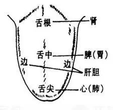 一张图，教你学会看孩子舌苔