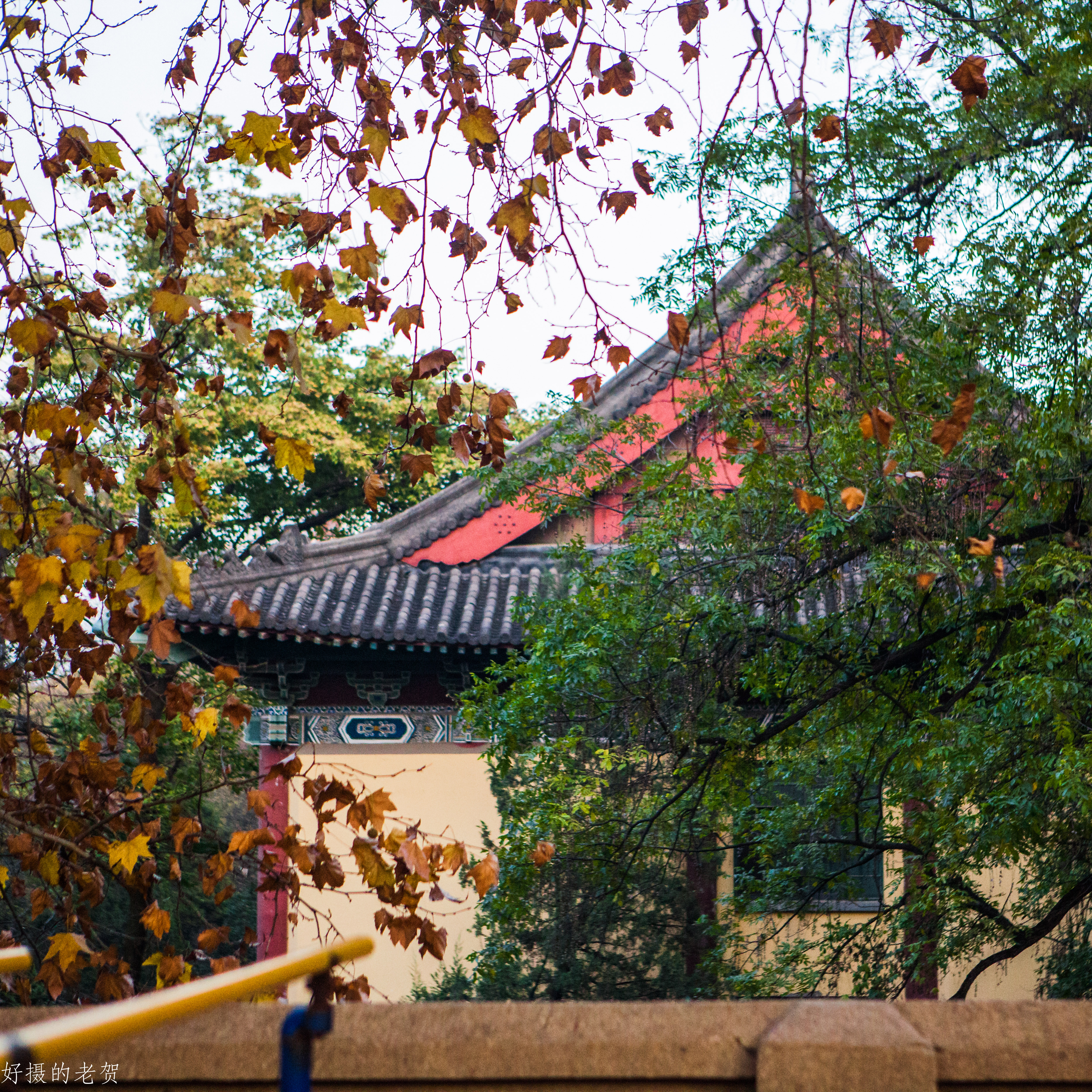 南京师大，曾是中国第一座女子大学，大文豪袁枚的随园所在地