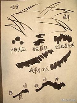 中国画写意花鸟画入门大全