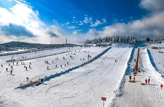 2019最新重庆仙女山赏雪滑雪攻略,吃住行全覆盖,必藏!