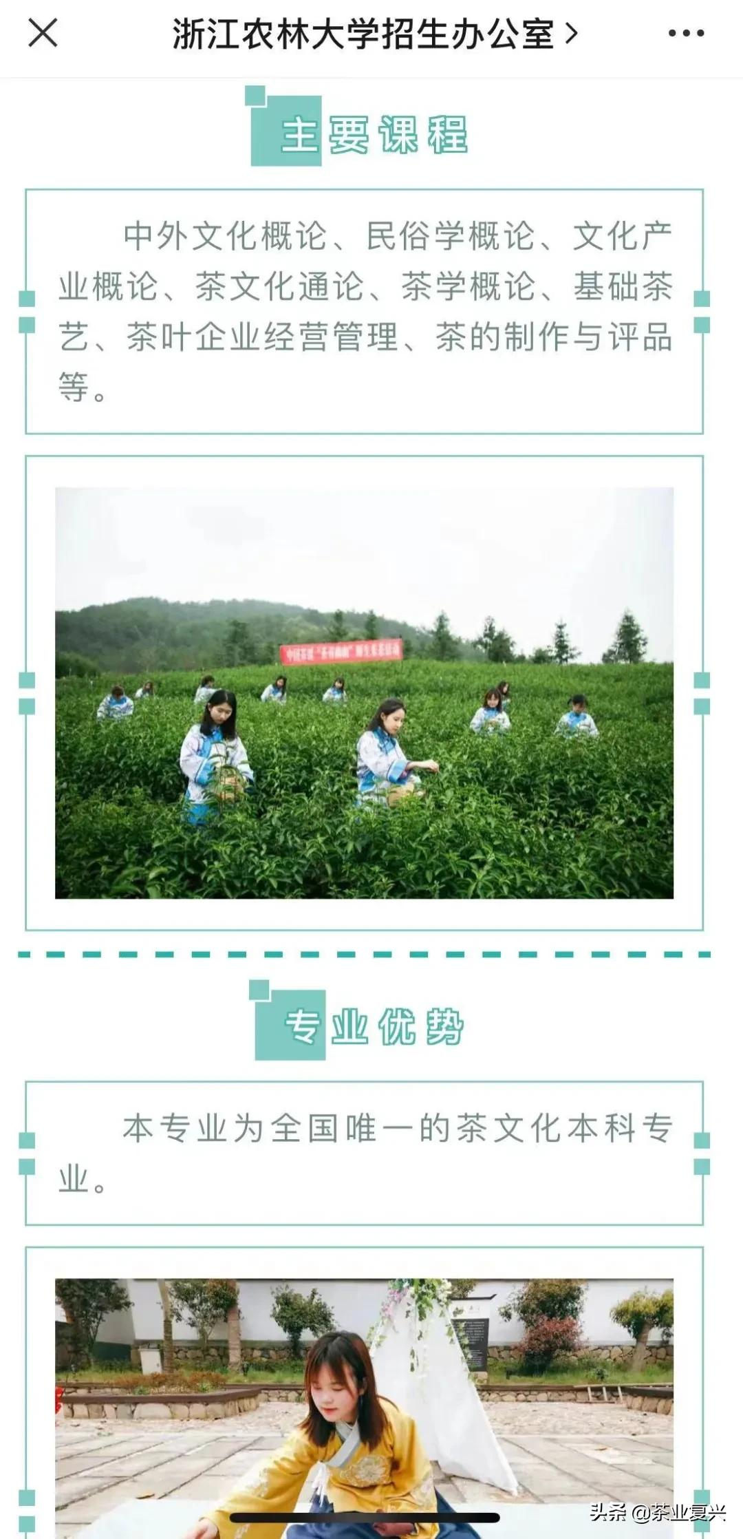 志愿指南 ‖高校茶学最新排名，这15所大学各有绝招