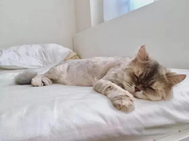 高考超常发挥的崔医生亲身经历告诉你如何才能考出比平时更高分数