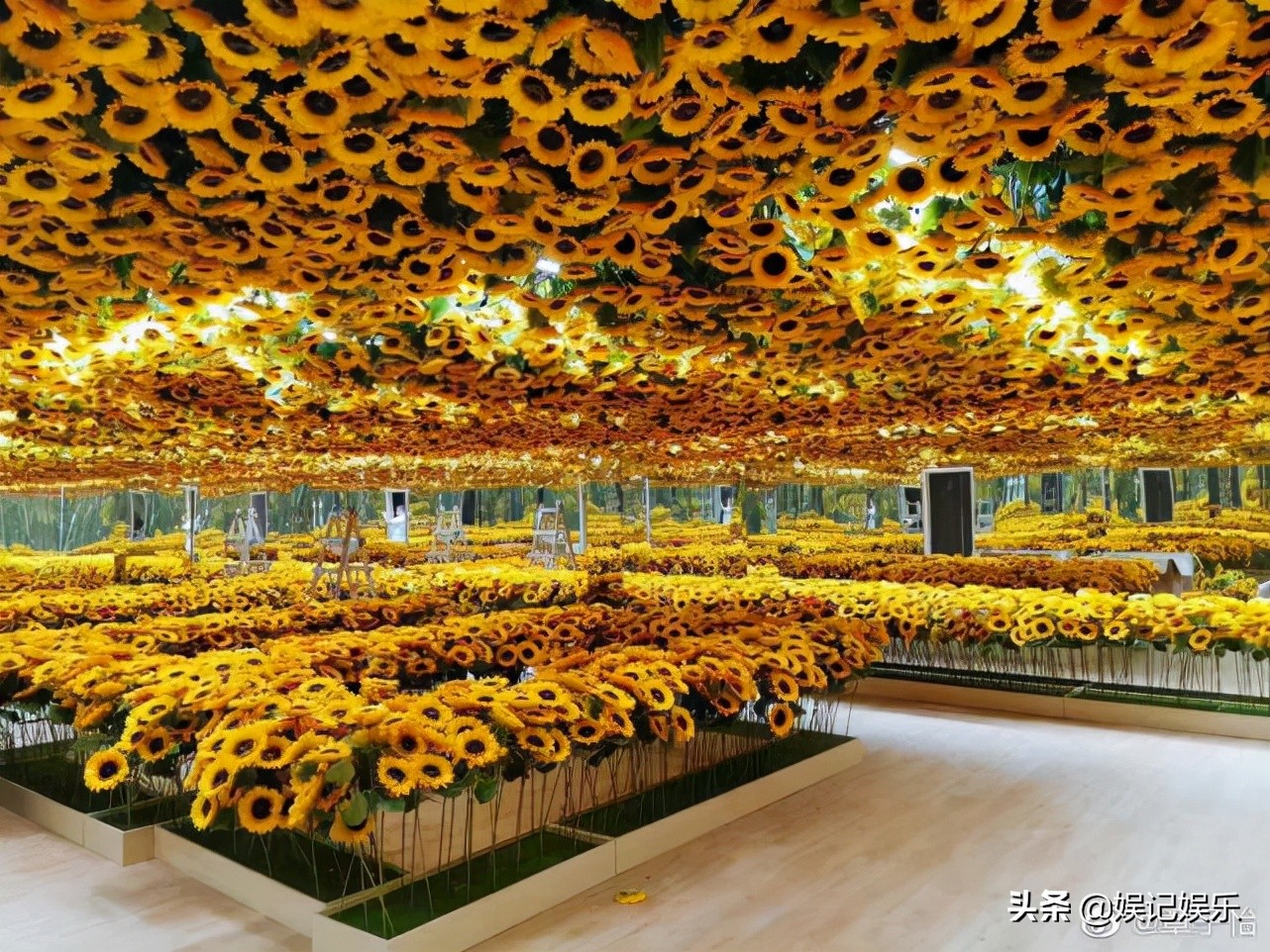 章子怡一家五口看画展，小苹果化淡妆气质出众，弟弟画画背影超萌