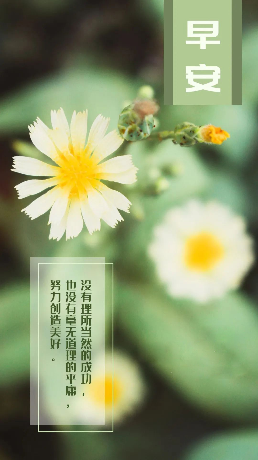 5月31日五月最后一天早安图片日签励志正能量带字说说语录