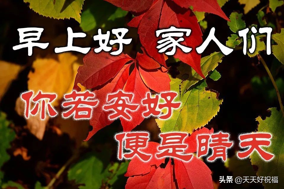 2019最新版的早上好祝福短句 愿你开心每一天