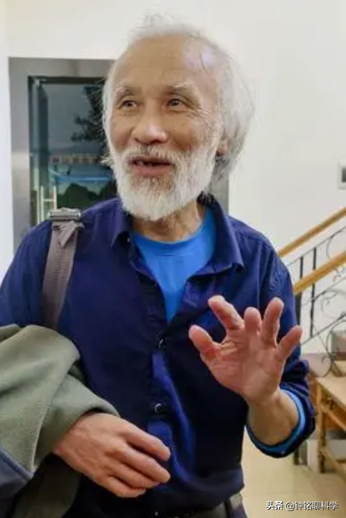 “蛇中熊猫”莽山烙铁头有多珍稀？为啥总被外国人惦记？