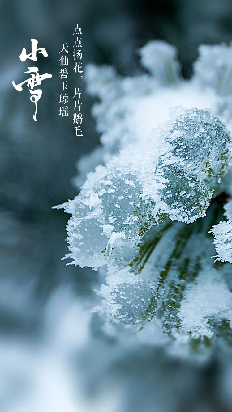 「美文美图」小雪，在最美的诗词里，遇见最美的小雪