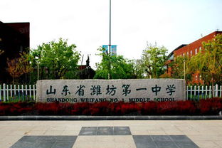 最近10年山东哪些中学最盛产高考状元？考好大学，这些高中都不错